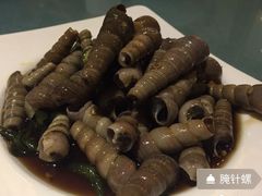 腌针螺-锦顺海鲜•口味菜(李村店)