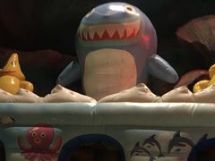 -青岛嘉年华主题乐园