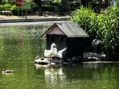 -太阳宫公园