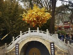 -红螺寺