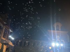 -中旅阿那亚九龙湖·公主酒店