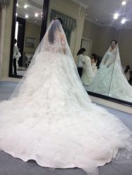 iphone_upload_pic-南京宝娜嫁衣婚纱礼服馆(中央路店)