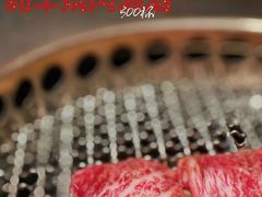 -300杯·和牛烧肉清酒专门店(廊里店)