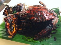 -纽顿熟食中心