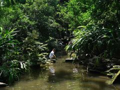 -成都市活水公园