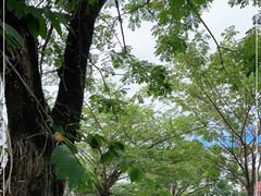 -后海村