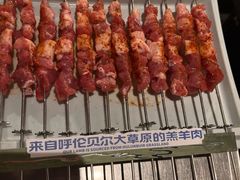 -很久以前羊肉串(朝阳路店)