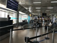 -圣保罗/瓜鲁柳斯-安德烈·弗朗哥·蒙托罗州长国际机场