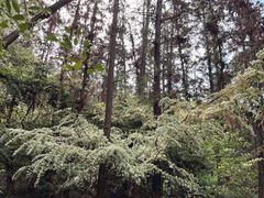 -青龙山国家森林公园