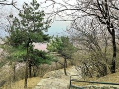 -香山公园