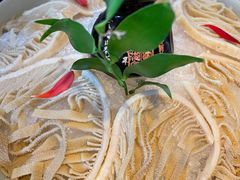 绿色草原千层肚-大隐·成都火锅Bistro(合生麒麟新天地店)