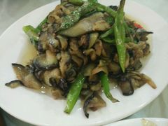 -圣厨牛腩(青春岛社区玉寿苑店)