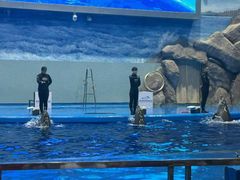 -福州罗源湾海洋世界旅游区