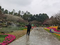 -秀丽东方