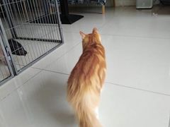 -平行世界·猫咖(首经贸店)