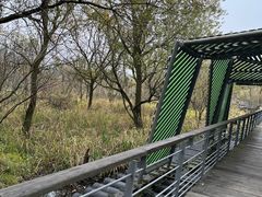 -西湖风景区-江洋畈生态公园