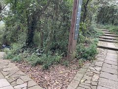 -杭州半山国家森林公园