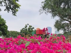 -万绿园