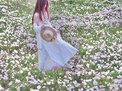 -汉长安城未央宫国家考古遗址公园