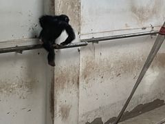 -太原动物园