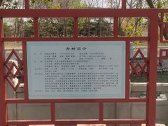 -大望京公园