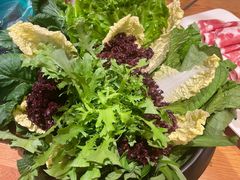 -额尔敦传统涮(公园西路店)