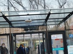 -北京市朝阳区东风社区卫生服务中心