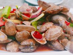 辣炒芒果螺-四川小胡子海鲜(丁村万人海鲜广场店)