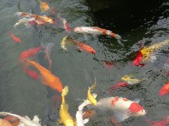 -天津大学附属中学