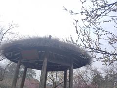 -无锡梅园公园