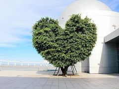 -龙环葡韵住宅式博物馆