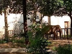 餐饮设施-北京动物园