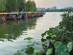 -济南大明湖景区