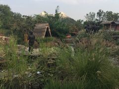 -武清南湖绿博园