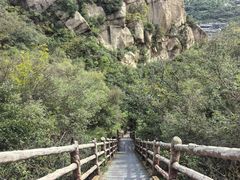-北京凤凰岭