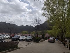 -王顺山国家森林公园