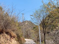 -大岭沟猕猴桃谷风景区