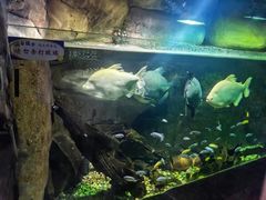 -嘉兴海底世界