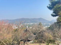 -香雪海
