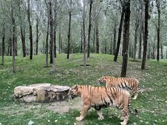 -北京野生动物园