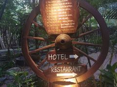 -卷心菜和避孕套餐厅(Pattaya)