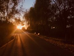 -永定河休闲森林公园