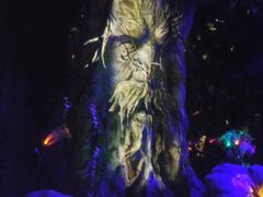 -祥源·阜阳生态乐园