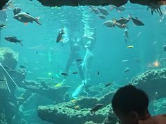 -长鹿旅游休博园