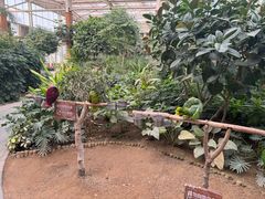 -南宫五洲植物乐园