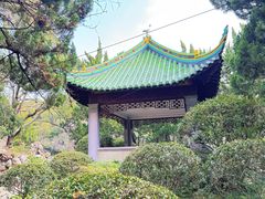 -叶家花园
