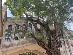 -赤坎·广东华侨国际旅游度假区