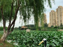 -前关湿地公园