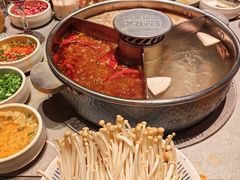 -巴奴毛肚火锅(邯郸美乐城店)