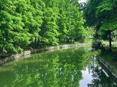 -上海滨江森林公园